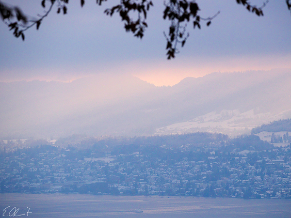 Winter am Zrichsee